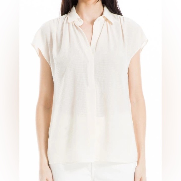 Max Studio ivory blouse - Picture 1 of 5
